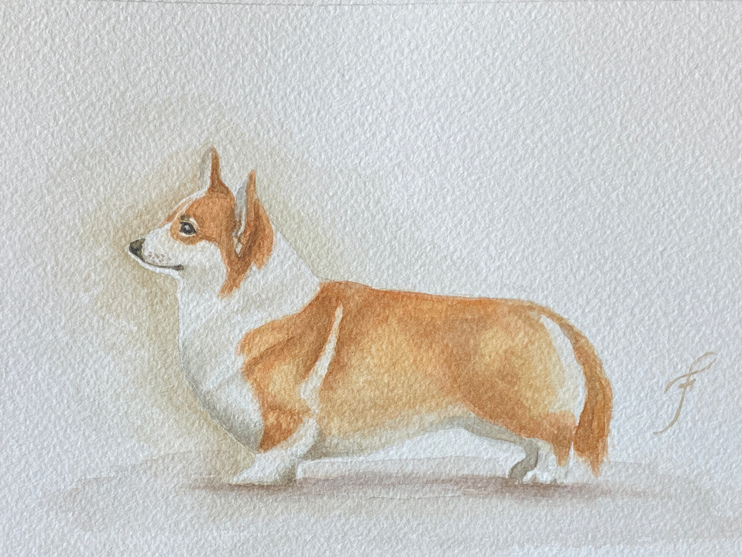 Full Body Mini Portrait