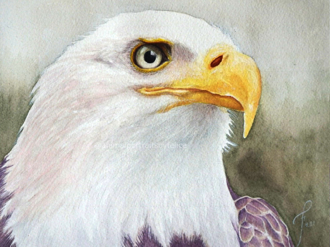 The Signature Portrait