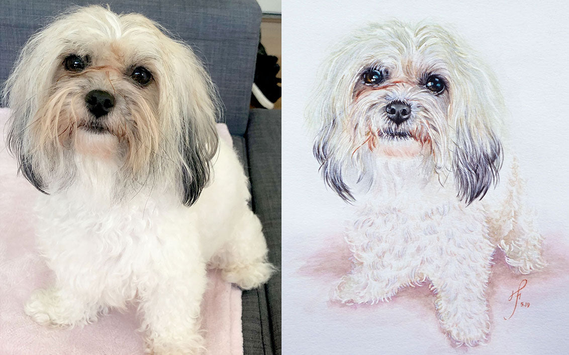 The Signature Portrait